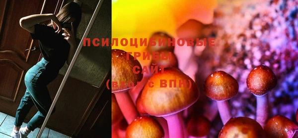 spice Инсар