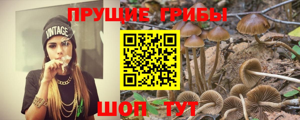Галлюциногенные грибы мицелий Ачинск